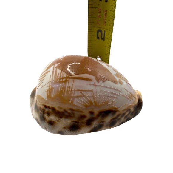 Hand-Carved Cowrie Shell With Fish Design Ocean Water Sea Life Decor Nautical - Picture 2 of 11